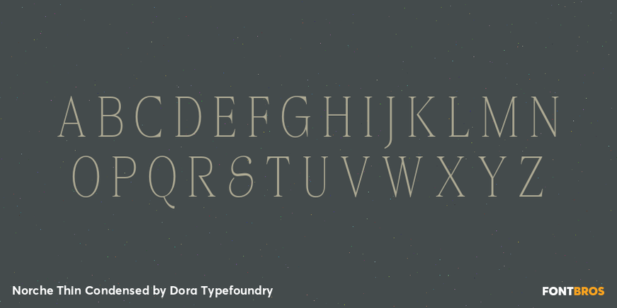 Norche Thin Condensed Font Poster #2