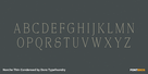 Norche Thin Condensed Thumbnail #2