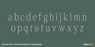 Norche Thin Condensed Thumbnail #3