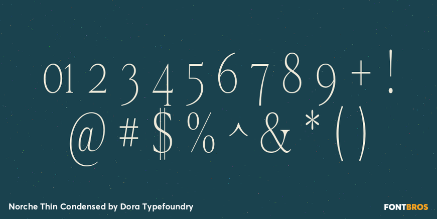 Norche Thin Condensed Font Poster #4