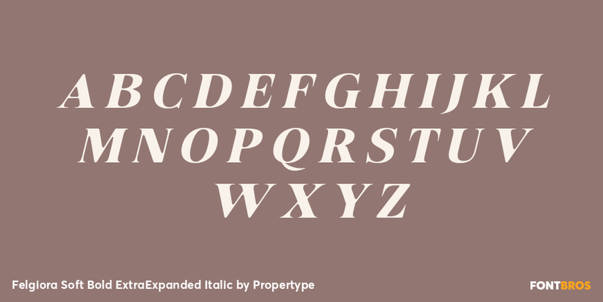 Felgiora Soft Bold Extra Expanded Italic Font Poster #2