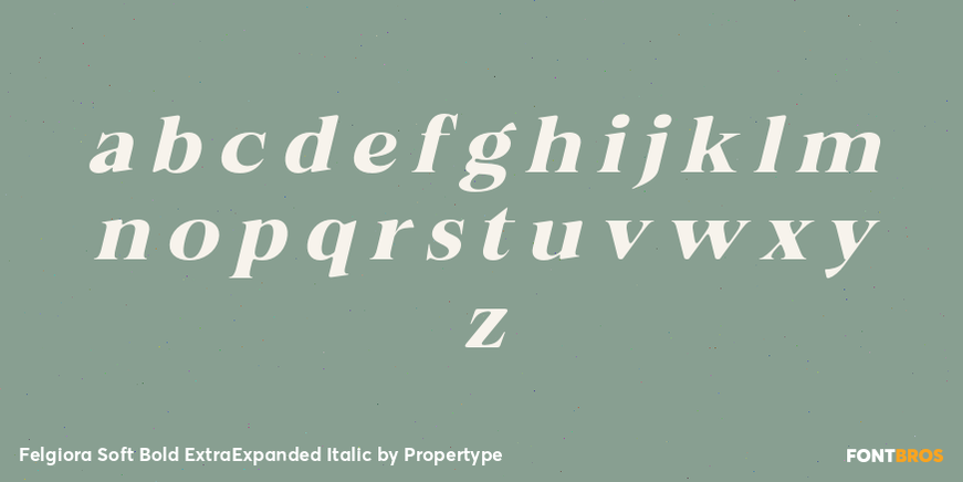 Felgiora Soft Bold Extra Expanded Italic Font Poster #3
