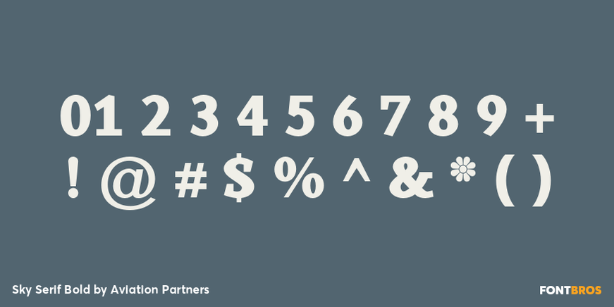 Sky Serif Bold Font Poster #4
