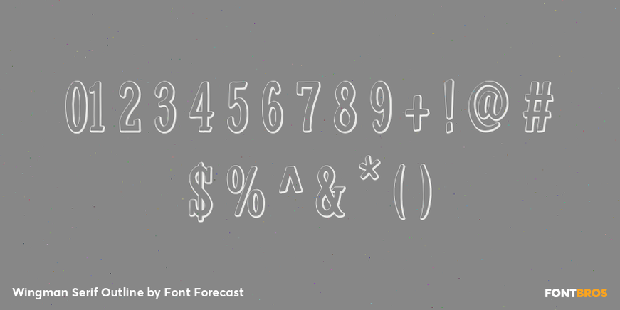 Wingman Serif Outline Font Poster #4