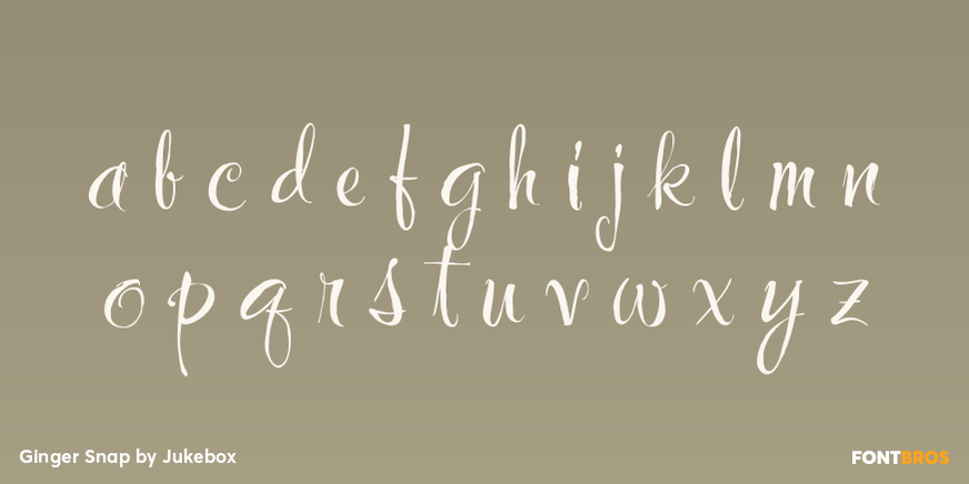 Ginger Snap Font Poster #3