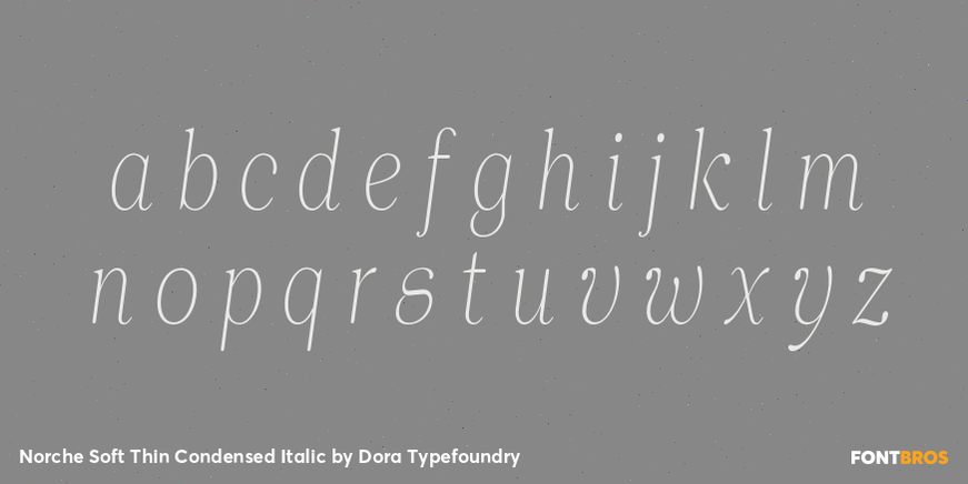 Norche Soft Thin Condensed Italic Font Poster #3