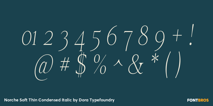 Norche Soft Thin Condensed Italic Font Poster #4