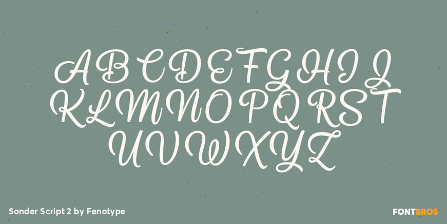 Sonder Script 2 Font Poster #2
