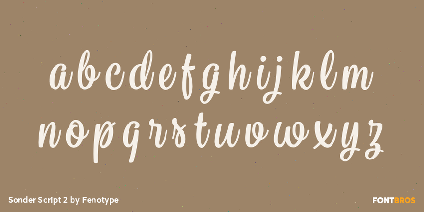 Sonder Script 2 Font Poster #3