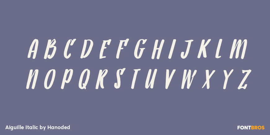 Aiguille Italic Font Poster #2