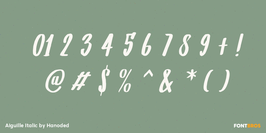 Aiguille Italic Font Poster #4