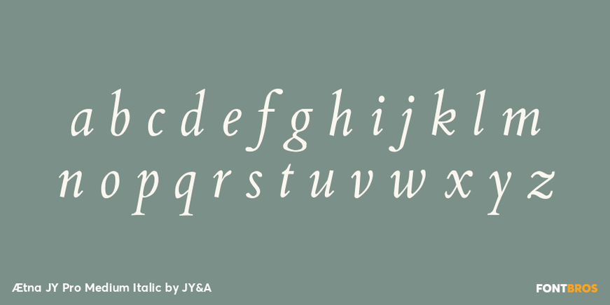 Ætna JY Pro Medium Italic Font Poster #3