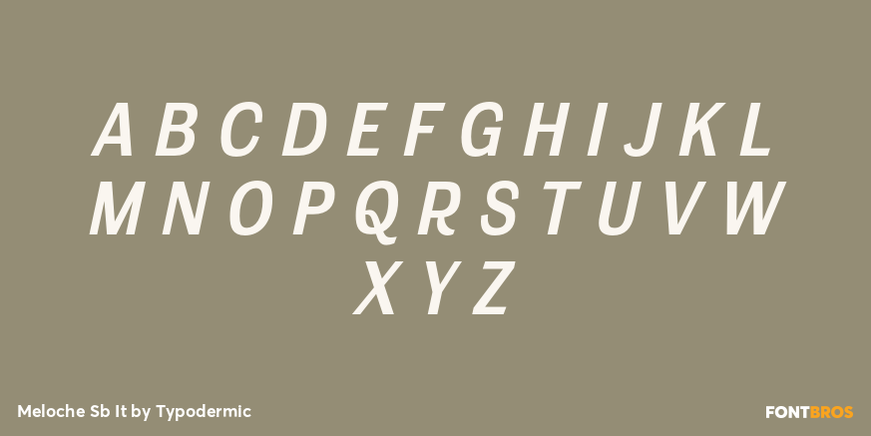Meloche Sb It Font Poster #2