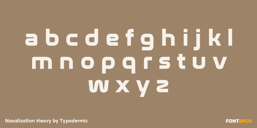 Nasalization Heavy Font Poster #3
