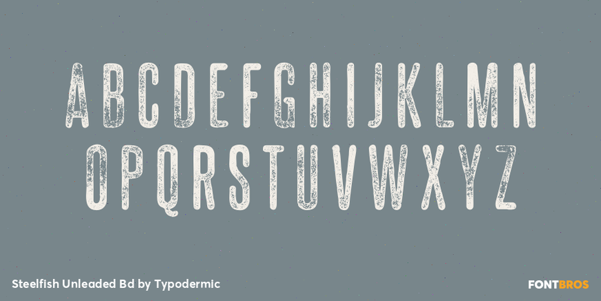 Steelfish Unleaded Bd Font Poster #2