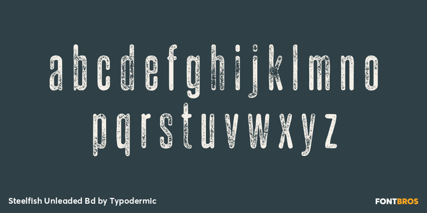 Steelfish Unleaded Bd Font Poster #3