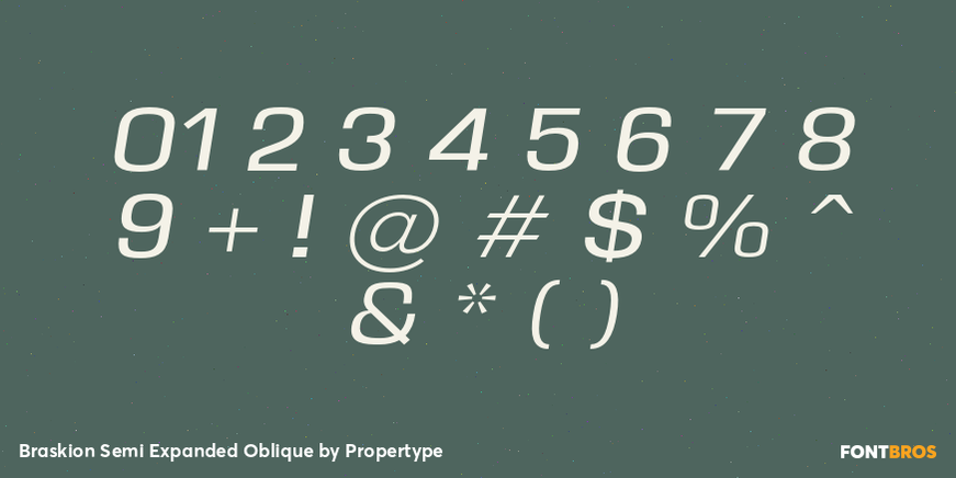 Braskion Semi Expanded Oblique Font Poster #4