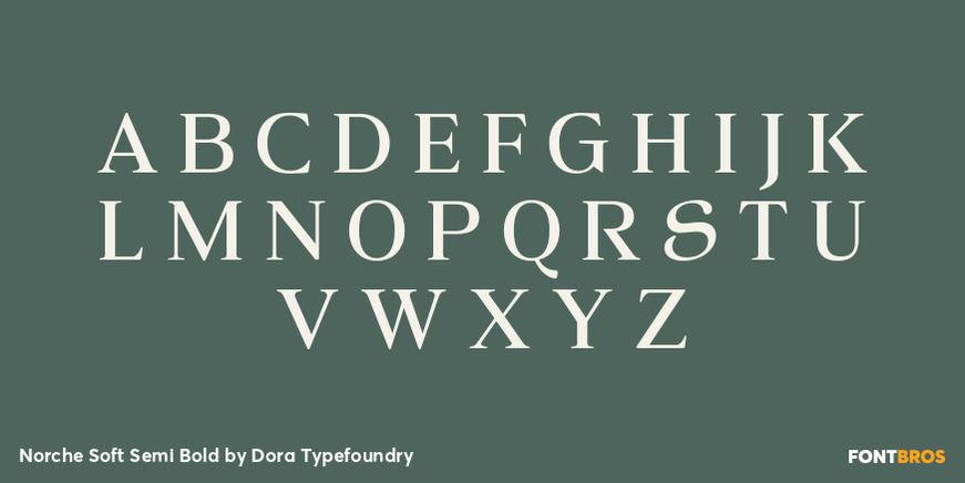 Norche Soft Semi Bold Font Poster #2