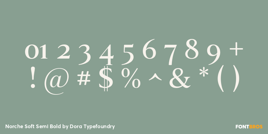 Norche Soft Semi Bold Font Poster #4