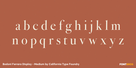 Bodoni Ferrara Display - Medium Thumbnail #3