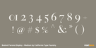 Bodoni Ferrara Display - Medium Thumbnail #4