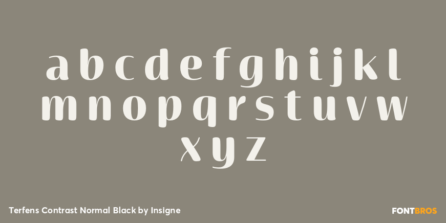 Terfens Contrast Normal Black Font Poster #3