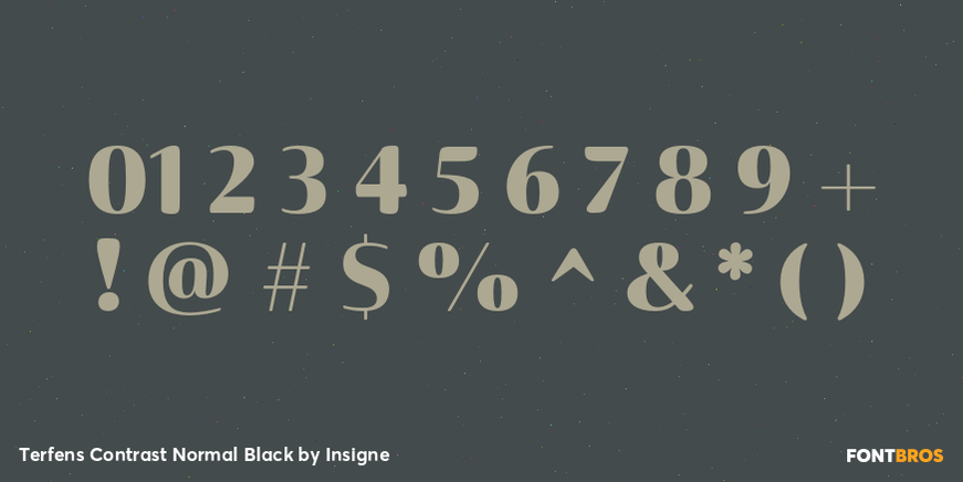 Terfens Contrast Normal Black Font Poster #4