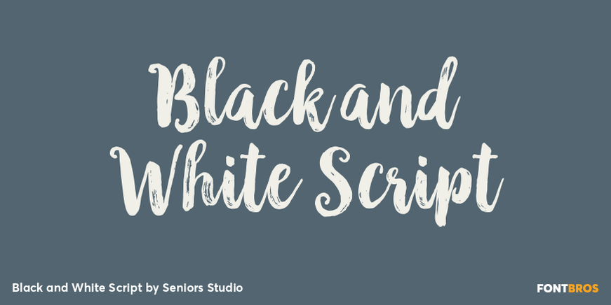 Black and White Script Font Poster #1