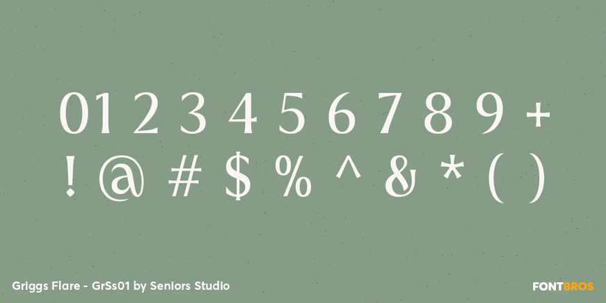 Griggs Flare - GrSs01 Font Poster #4
