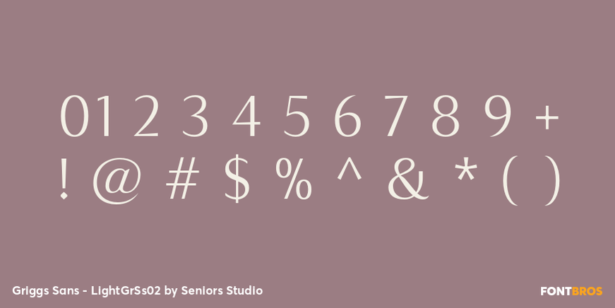 Griggs Sans - LightGrSs02 Font Poster #4