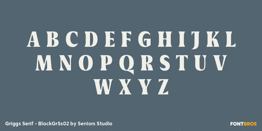 Griggs Serif - BlackGrSs02 Font Poster #2