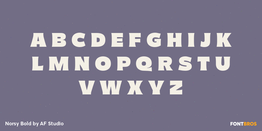 Norsy Bold Font Poster #2