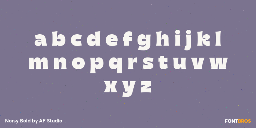 Norsy Bold Font Poster #3