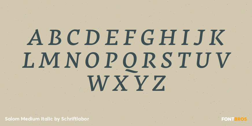 Salom Medium Italic Font Poster #2