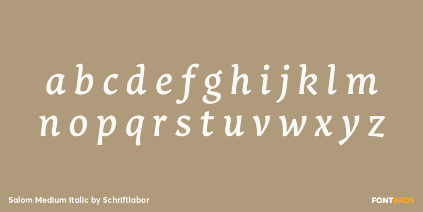 Salom Medium Italic Font Poster #3