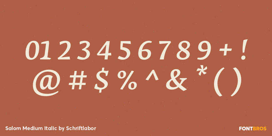 Salom Medium Italic Font Poster #4