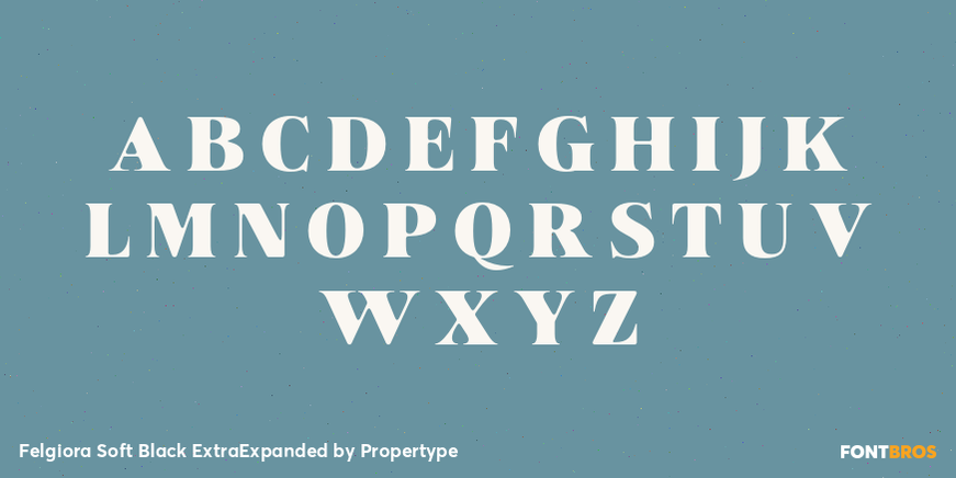 Felgiora Soft Black ExtraExpanded Font Poster #2