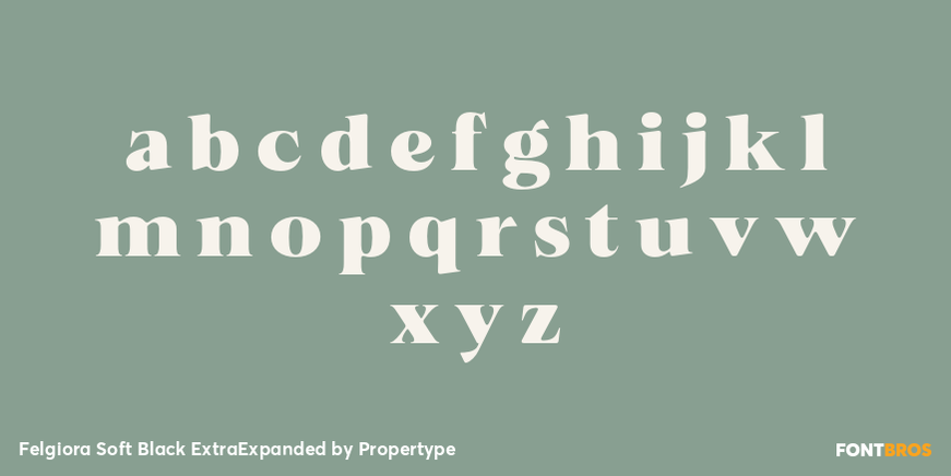 Felgiora Soft Black ExtraExpanded Font Poster #3