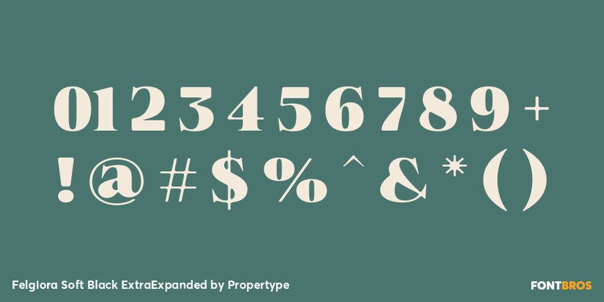 Felgiora Soft Black ExtraExpanded Font Poster #4