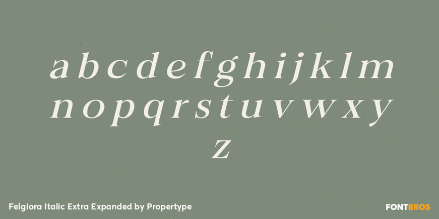 Felgiora Italic Extra Expanded Font Poster #3