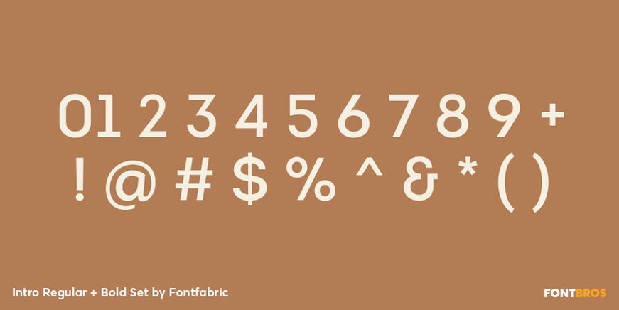 Intro Regular + Bold Set Font Poster #4