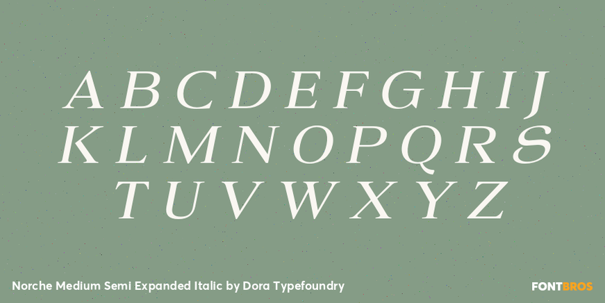Norche Medium Semi Expanded Italic Font Poster #2