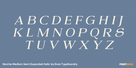 Norche Medium Semi Expanded Italic Thumbnail #2