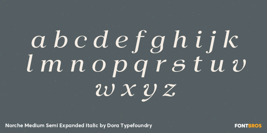 Norche Medium Semi Expanded Italic Font Poster #3