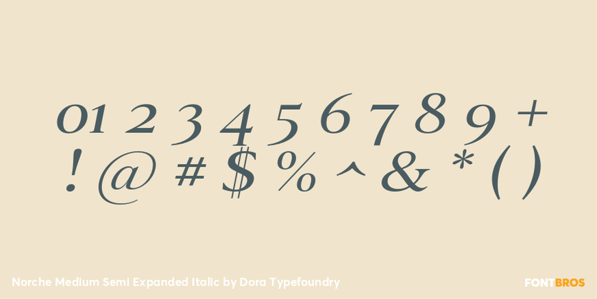 Norche Medium Semi Expanded Italic Font Poster #4