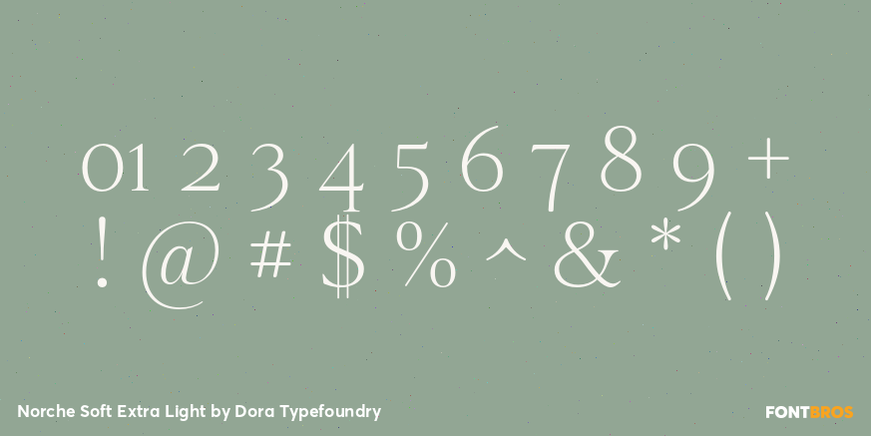 Norche Soft Extra Light Font Poster #4