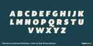Tide Sans Condensed 900 Dude + Italic Thumbnail #2