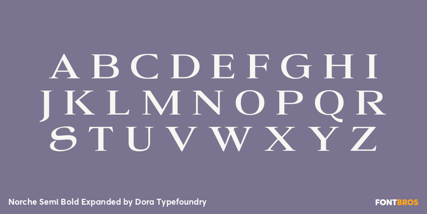 Norche Semi Bold Expanded Font Poster #2