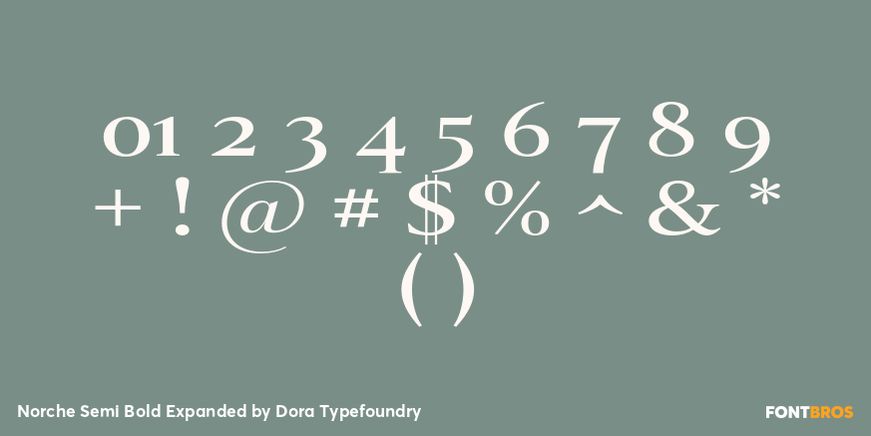 Norche Semi Bold Expanded Font Poster #4
