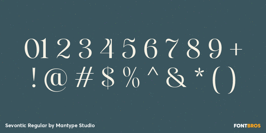 Sevontic Regular Font Poster #4